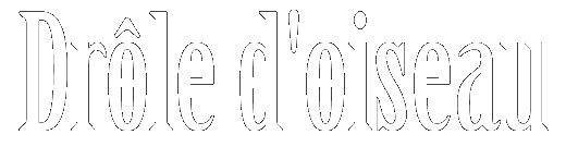 drole